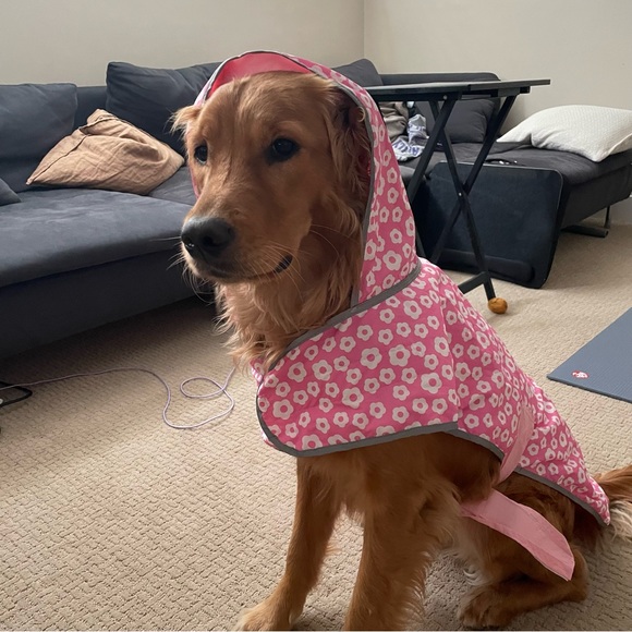 Dog raincoat - Picture 1 of 6
